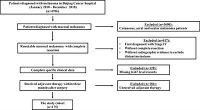 Proliferation Marker Ki67 as a Stratification Index of Adjuvant Chemotherapy for Resectable Mucosal Melanoma